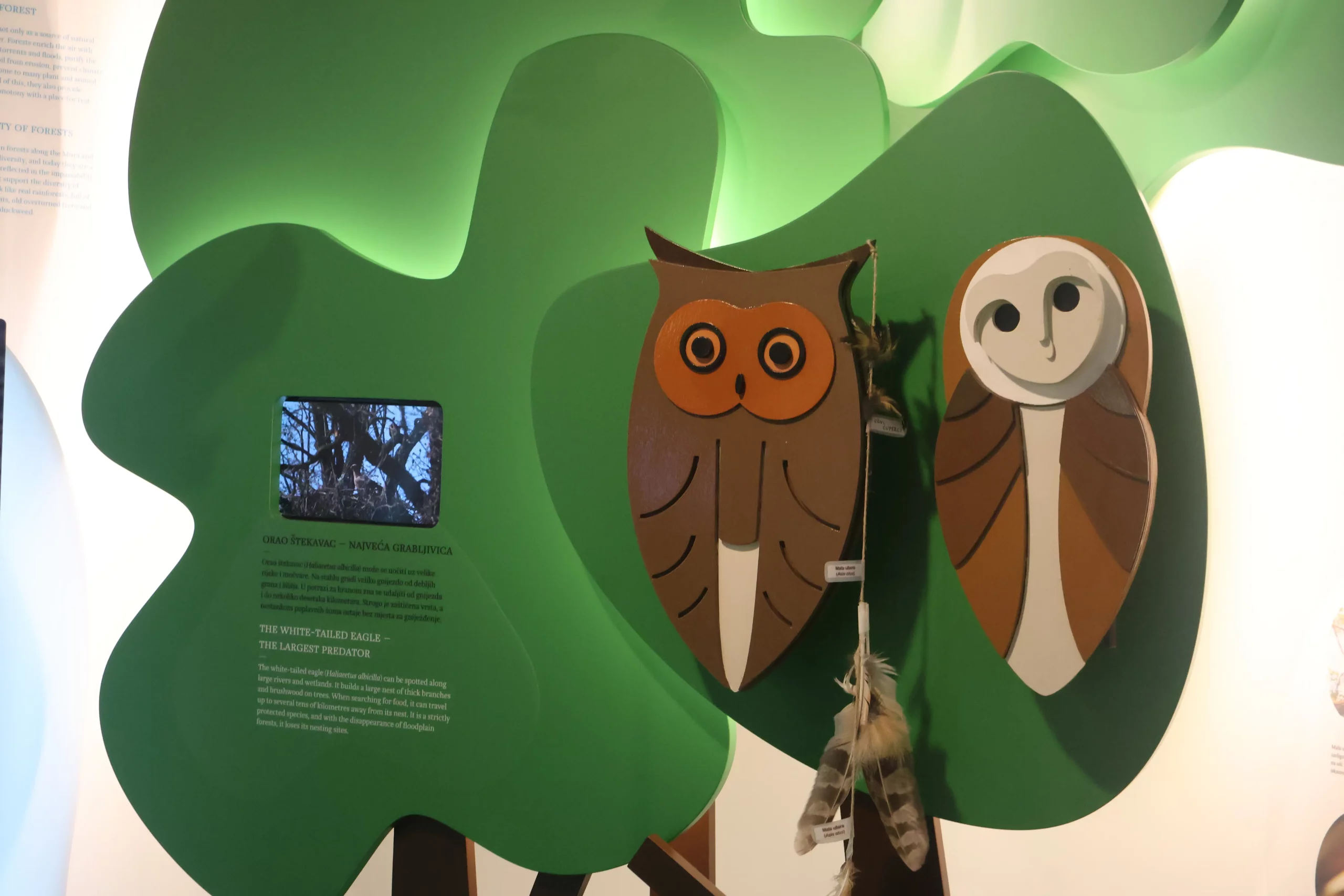 krizovec (6) med dvemi vodami krizovec (6) med dvemi vodami