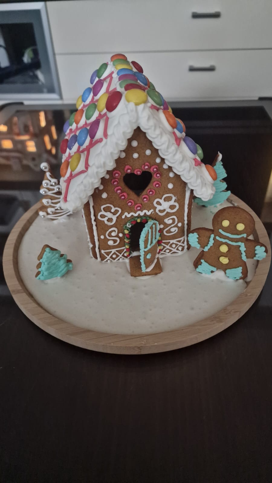 kućice od medenjaka Tea Mikec (2)