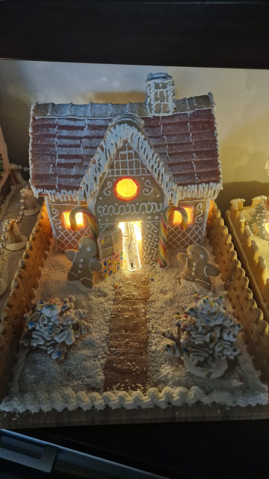 kućice od medenjaka Tea Mikec (7)