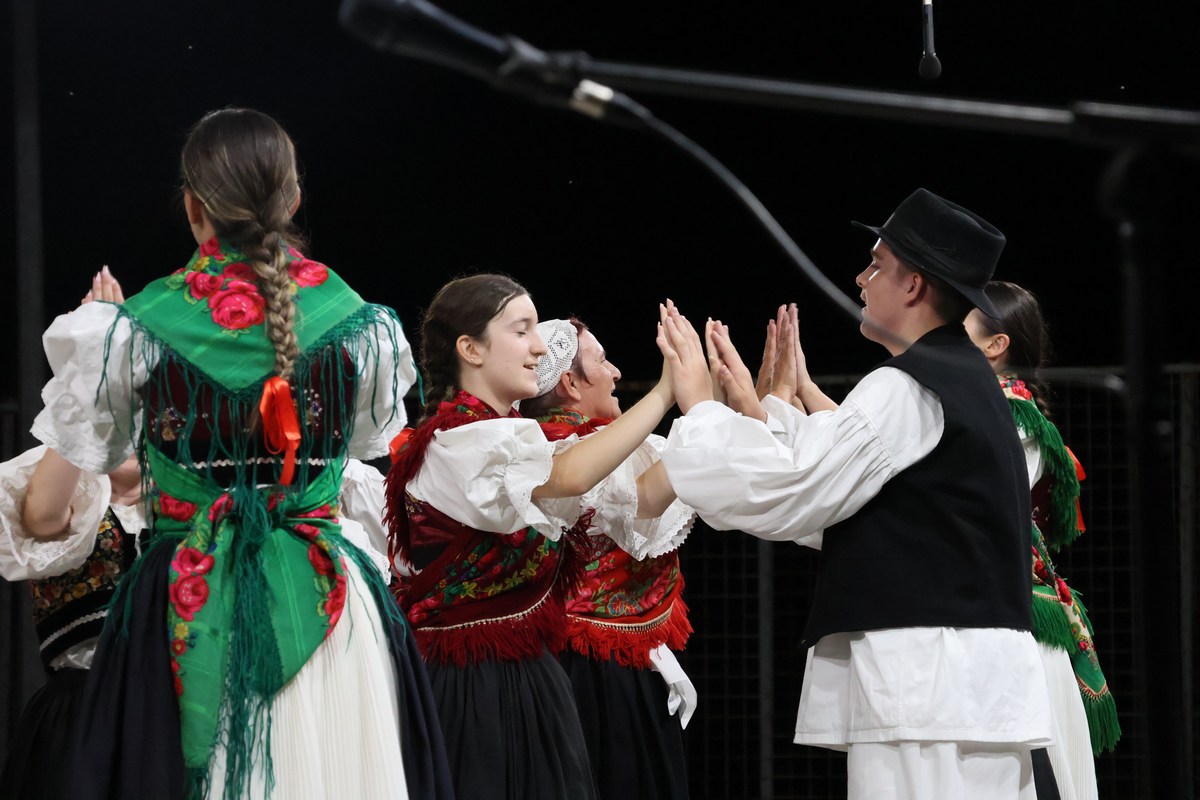 kud donji vidovec 12