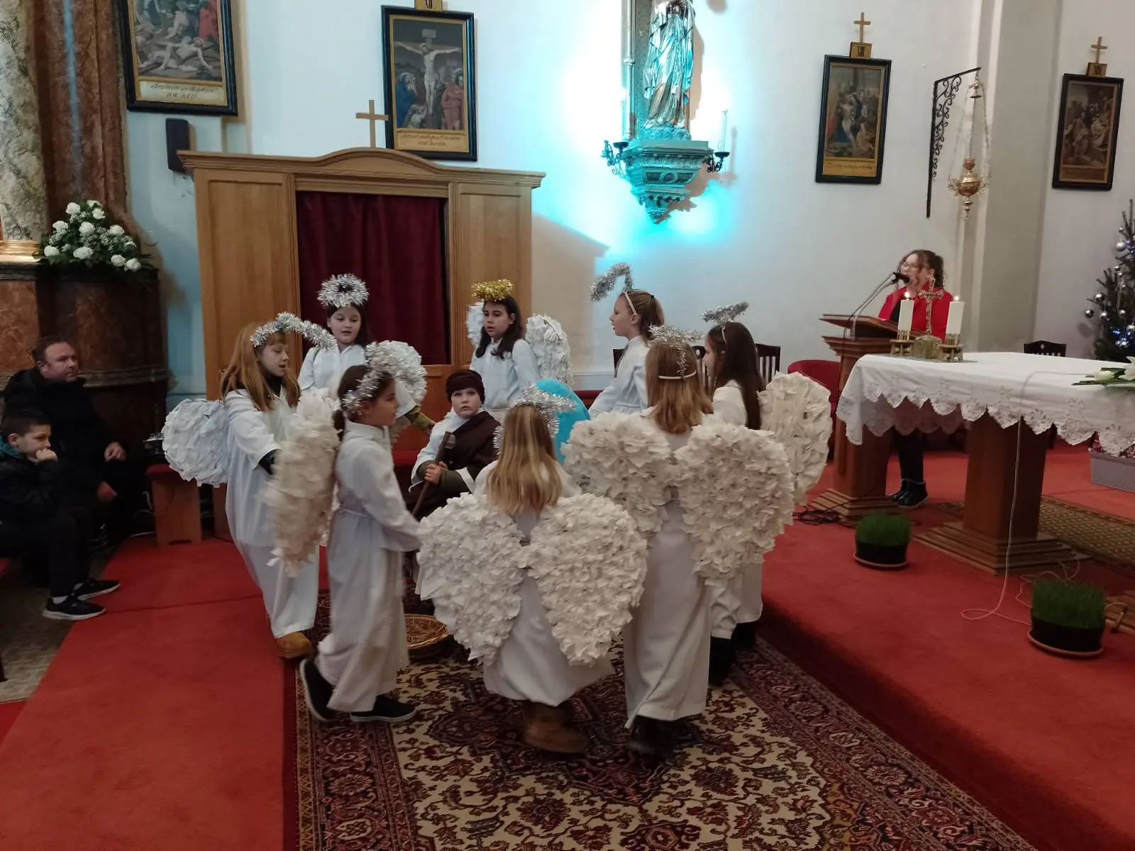 kud donji vidovec, badnjak (12) kud donji vidovec, badnjak (12)