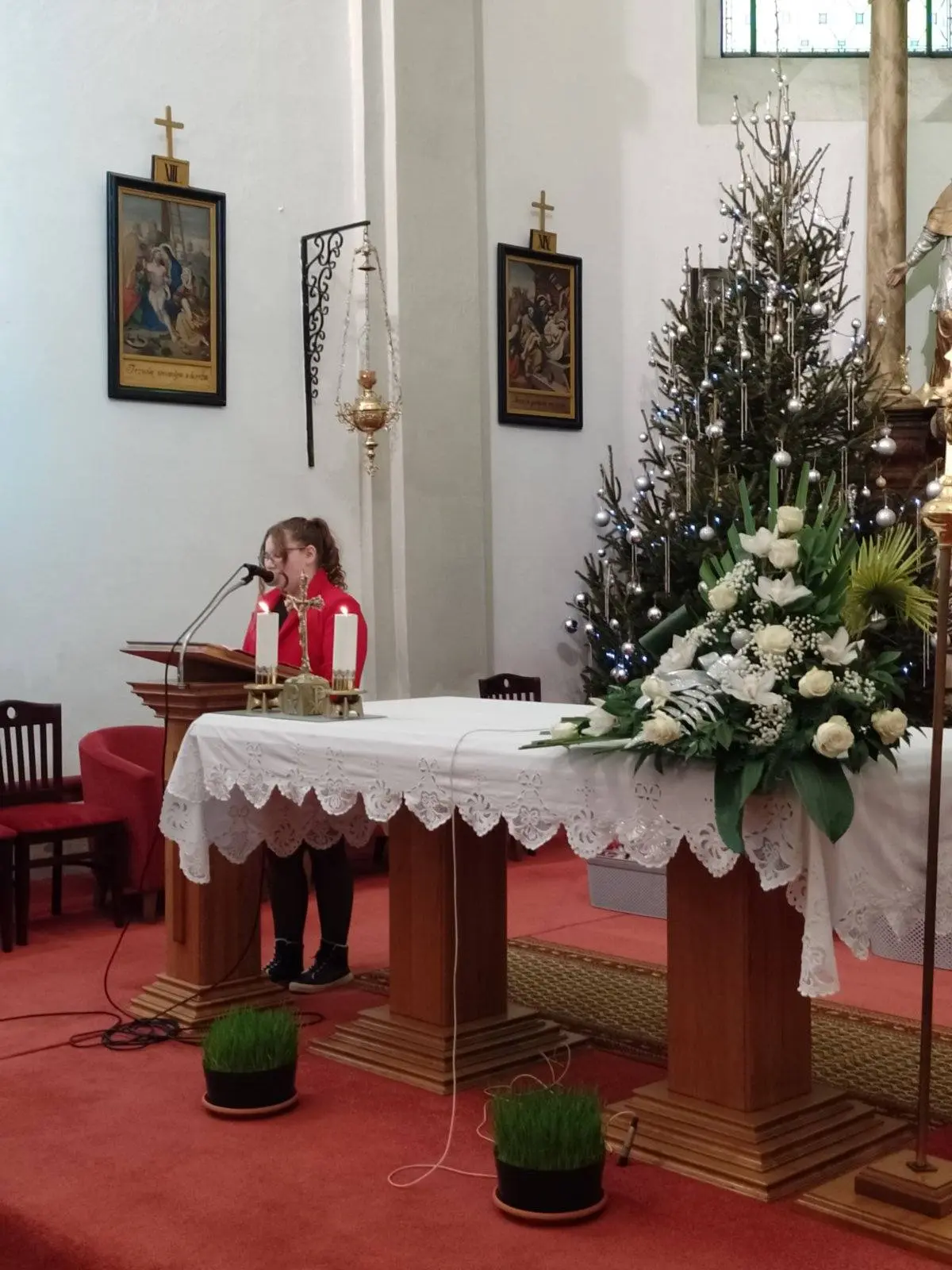 kud donji vidovec, badnjak (14) kud donji vidovec, badnjak (14)