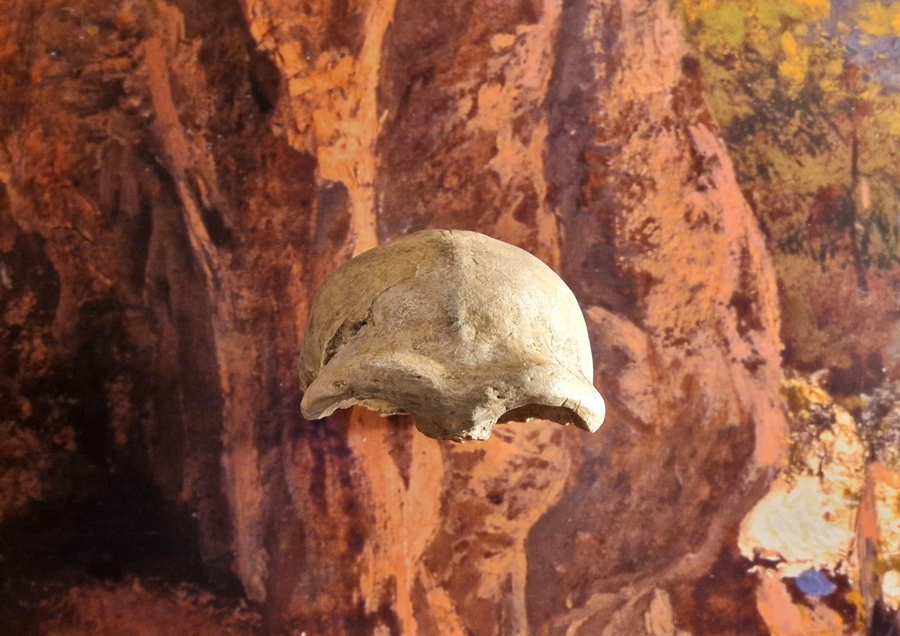 kud mura (30) kud mura (30)