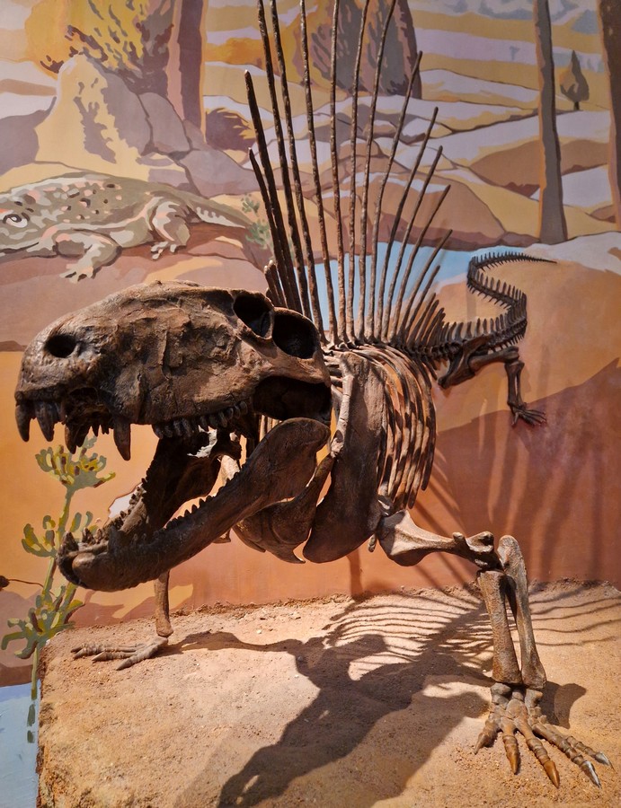 kud mura (34) kud mura (34)