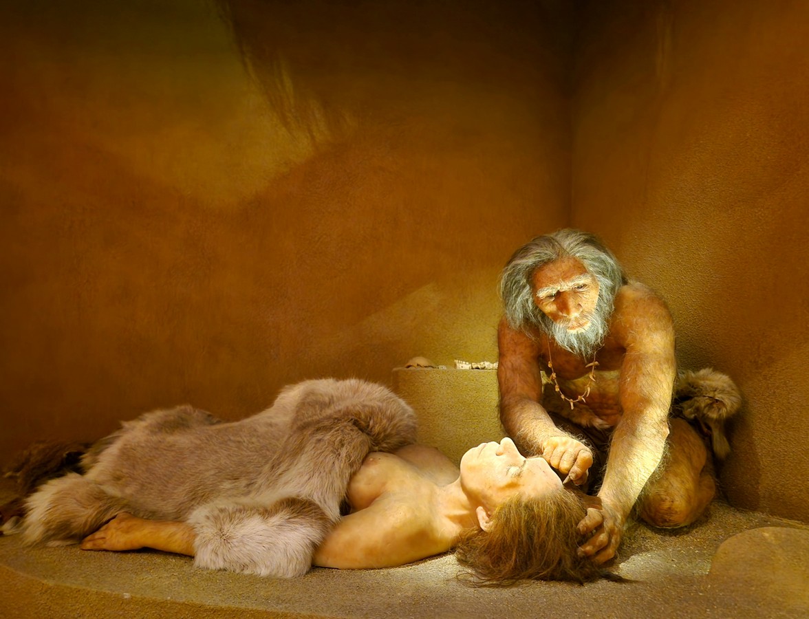 kud mura (8) kud mura (8)