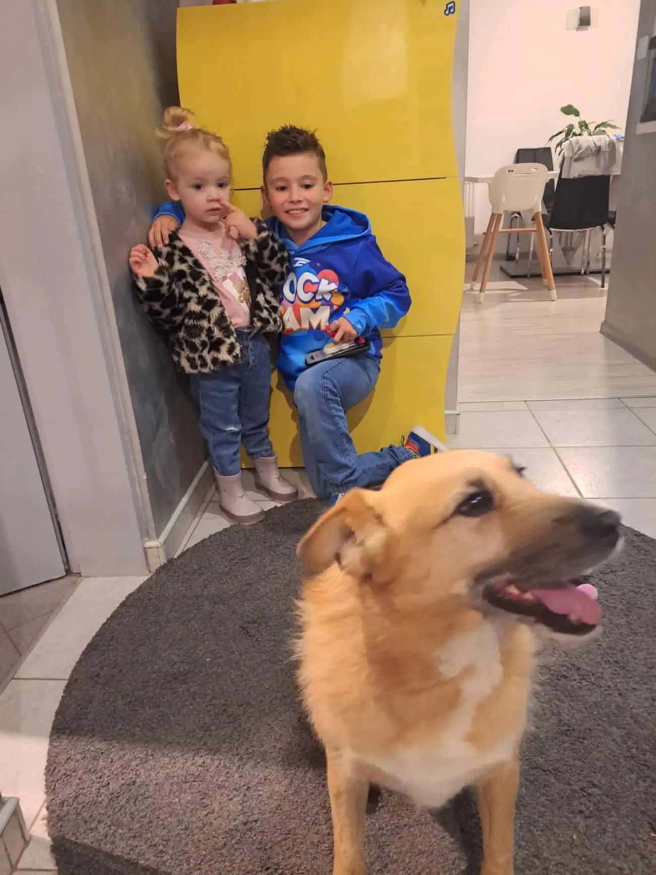 kunić (12) kunić (12)