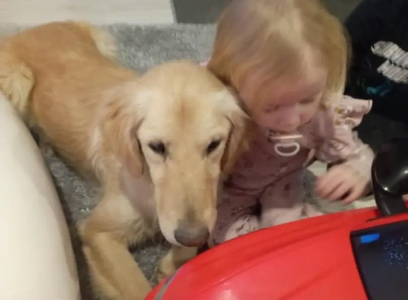 kunić (4) kunić (4)