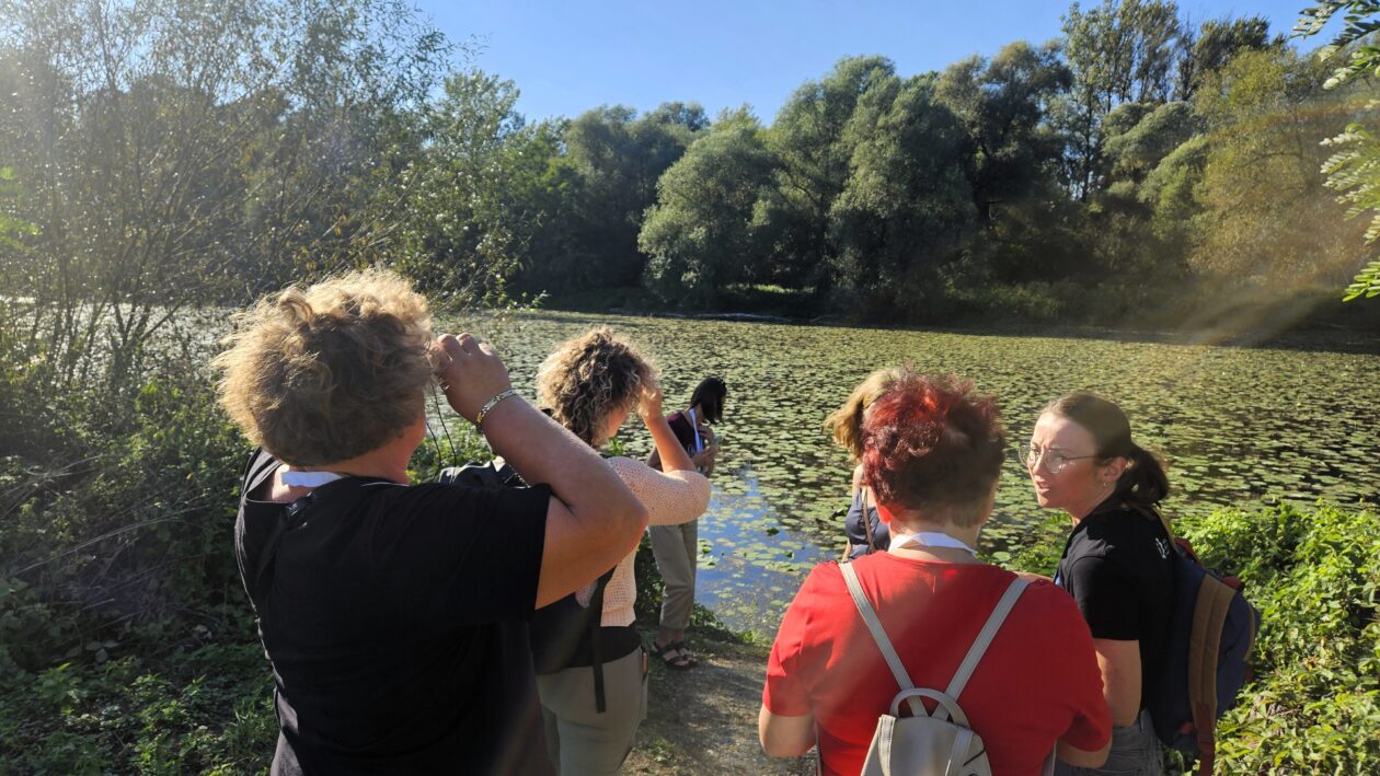 lag međimurski doli i bregi (7)