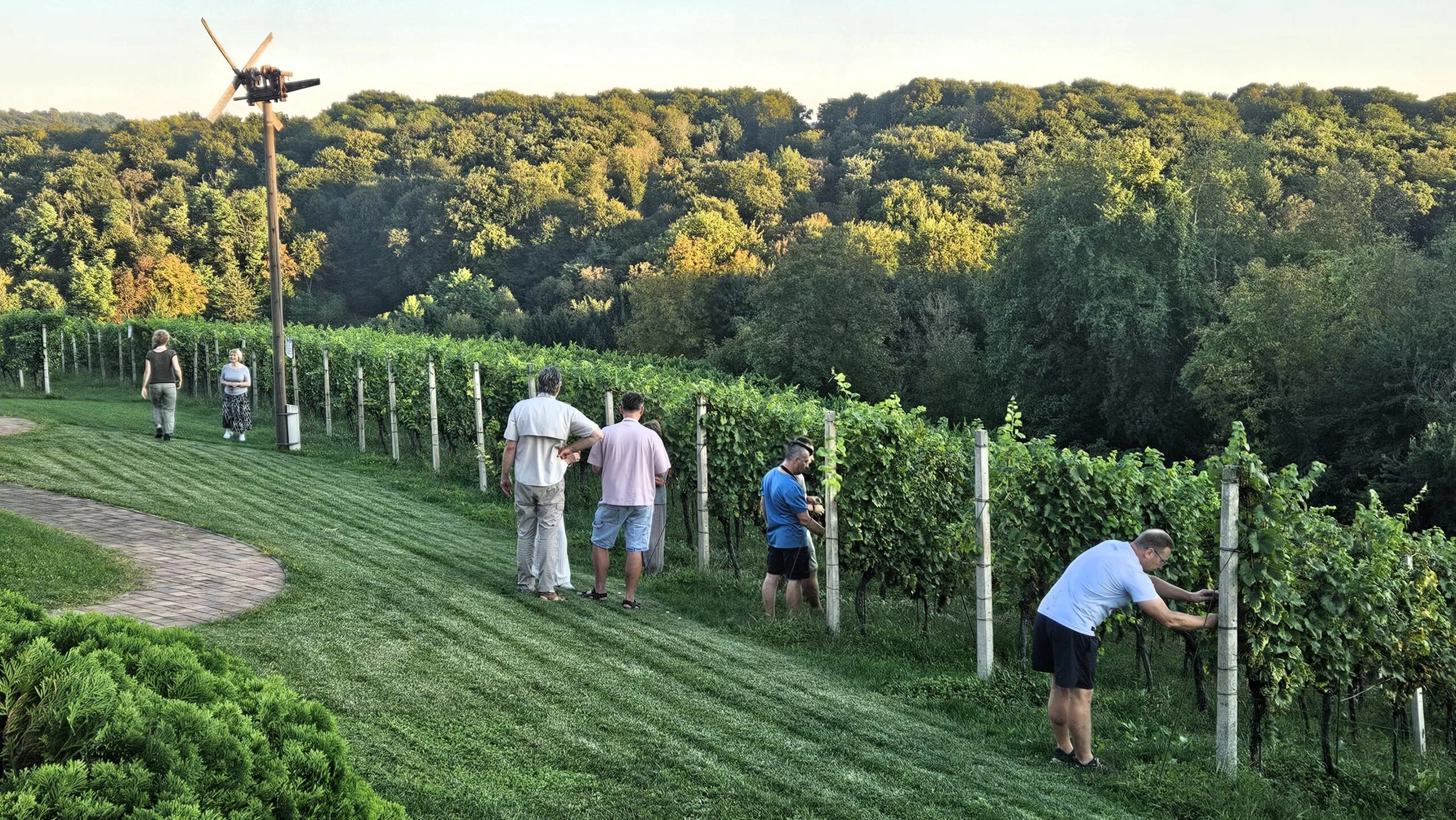 lag međimurski doli i bregi (8) lag međimurski doli i bregi (8)