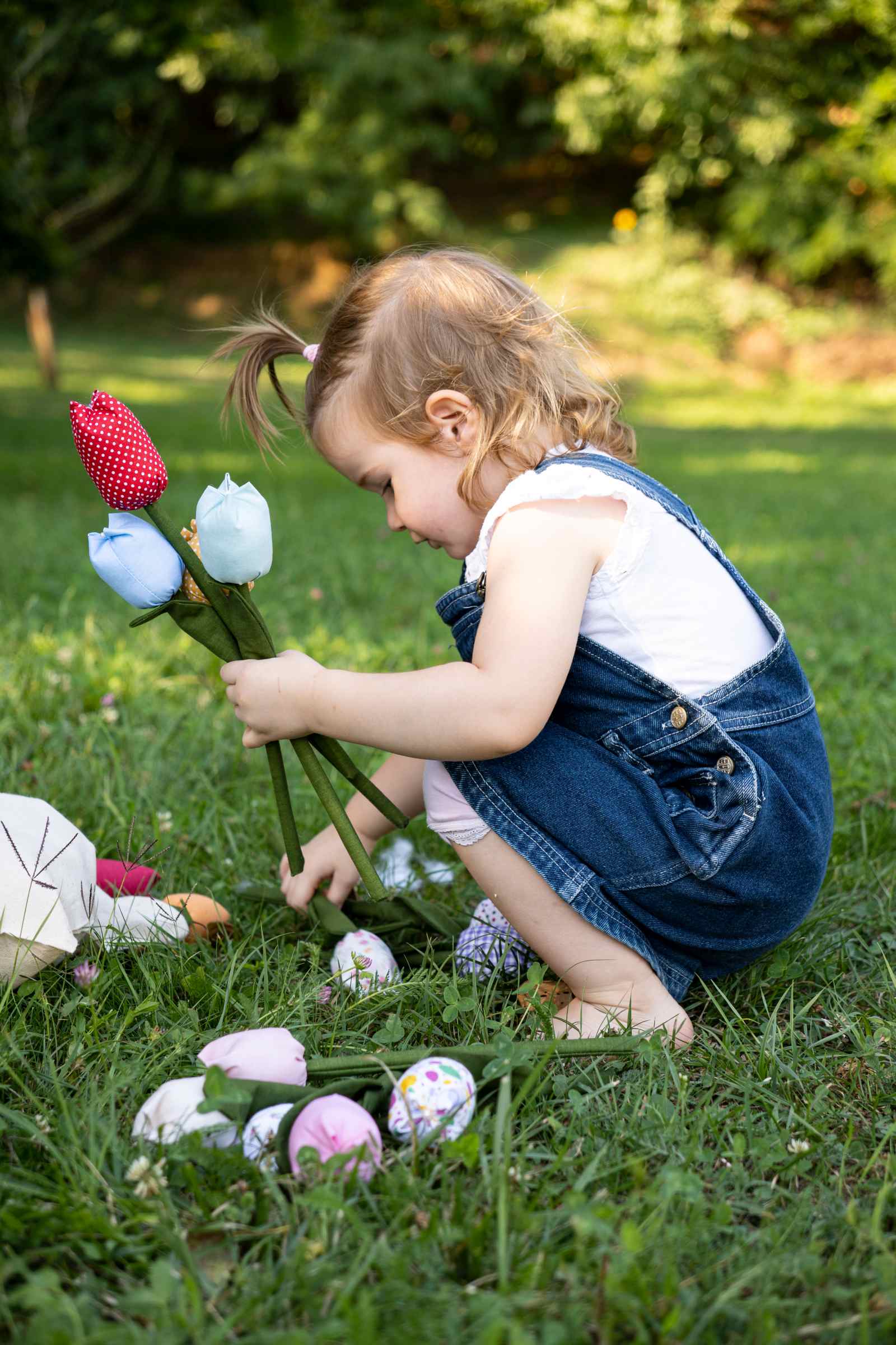 lesičar fidei filum (6)