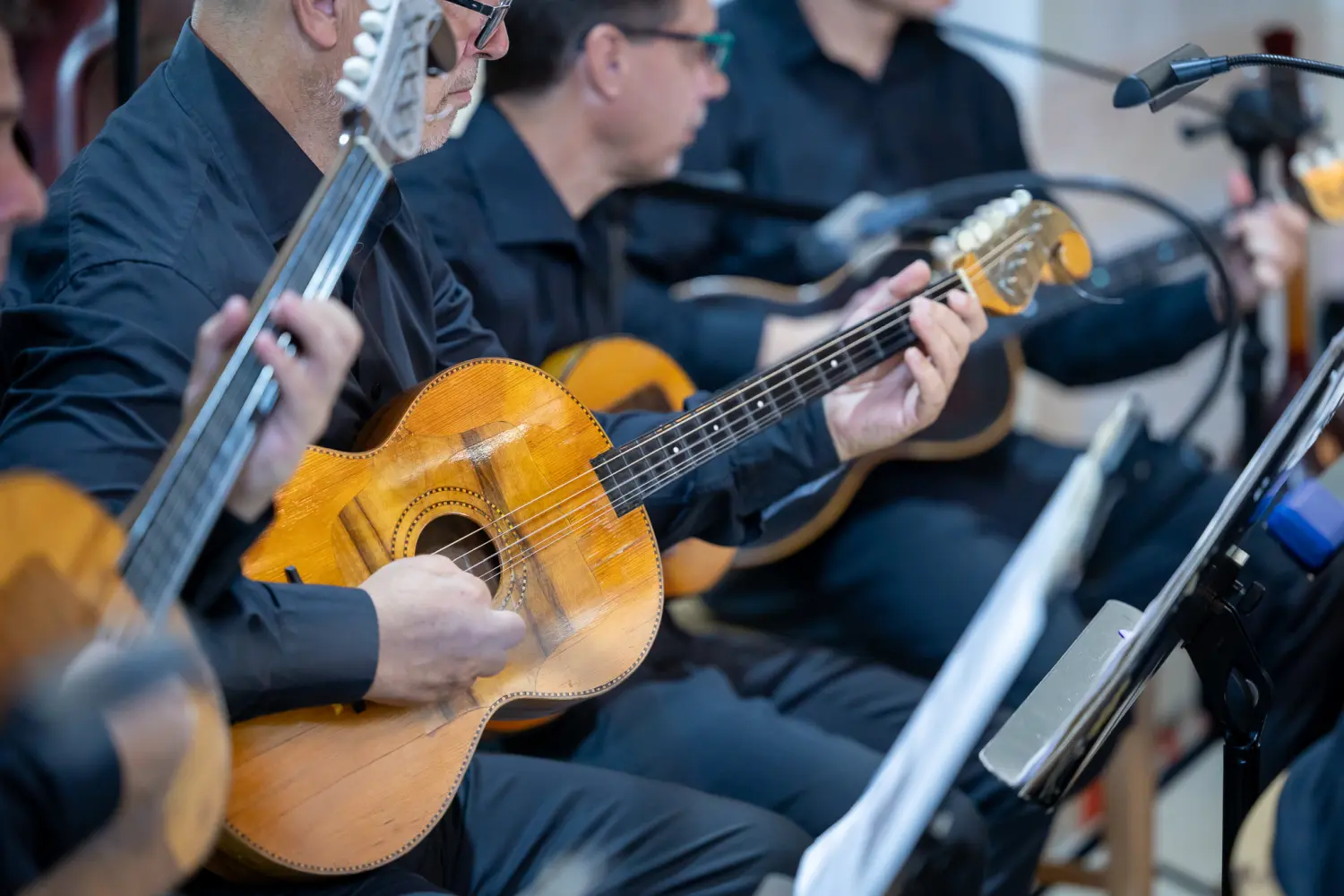 likovna kolonija štrigova (2) likovna kolonija štrigova (2)