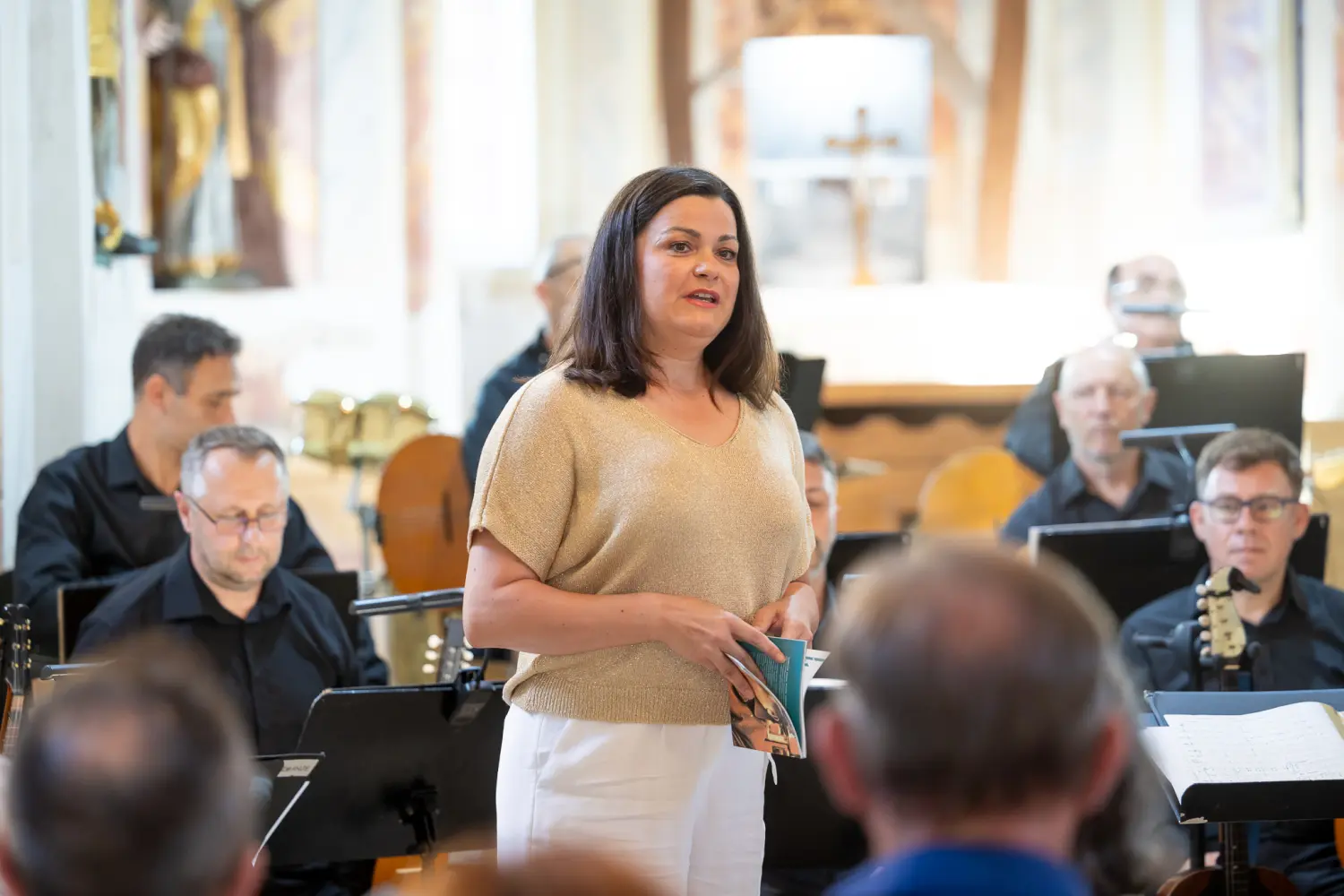 likovna kolonija štrigova (5) likovna kolonija štrigova (5)