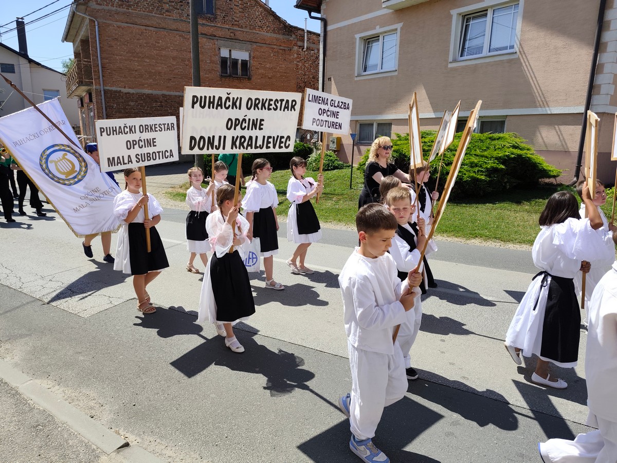 limena belica (27) limena belica (27)