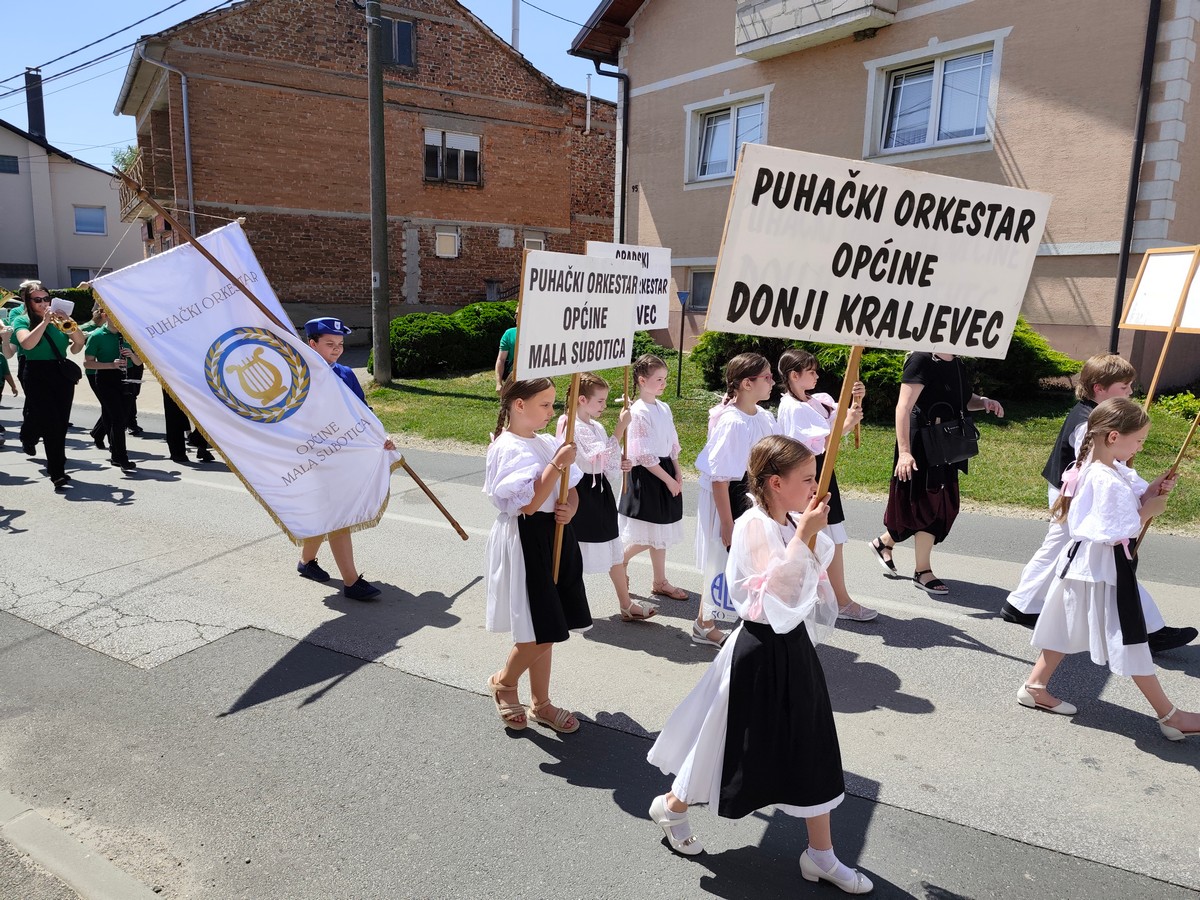 limena belica (28) limena belica (28)