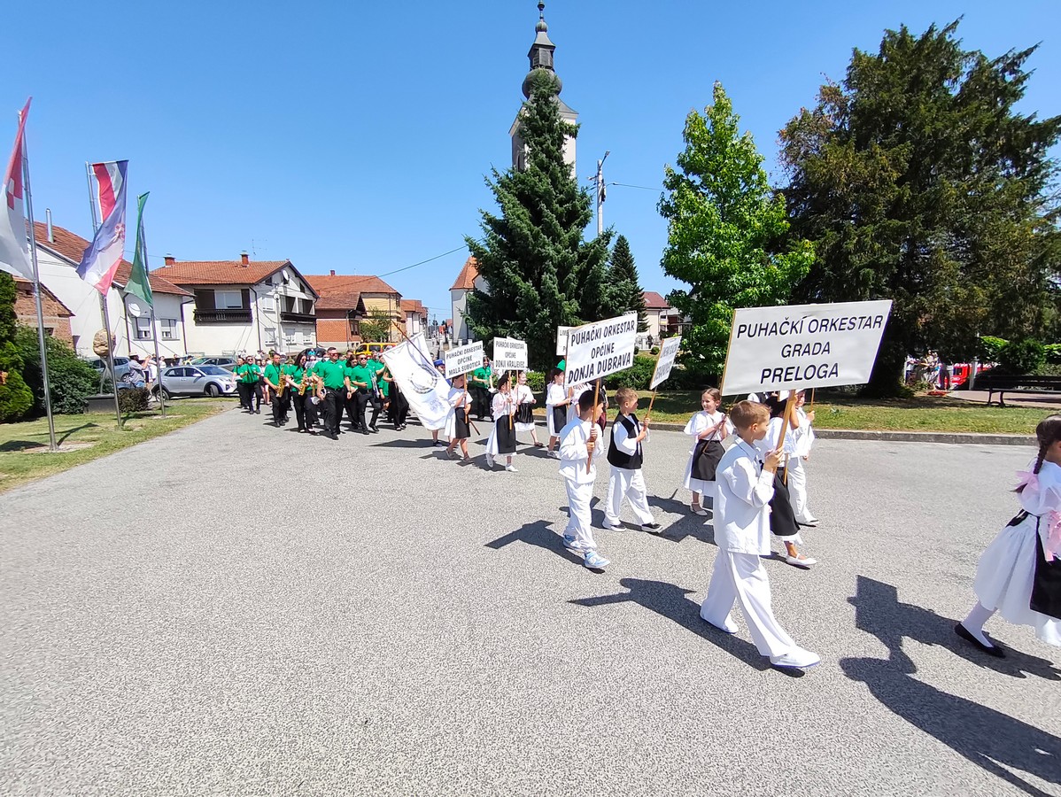 limena belica (50) limena belica (50)