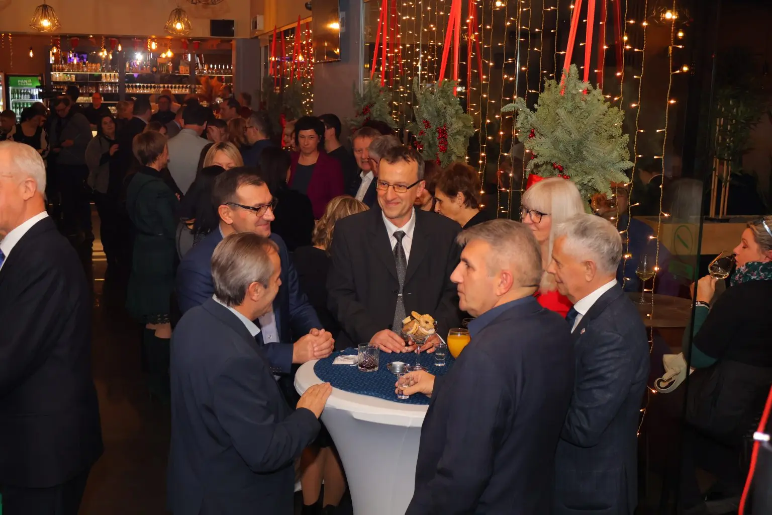 ljerka cividini prijem (3) ljerka cividini prijem (3)