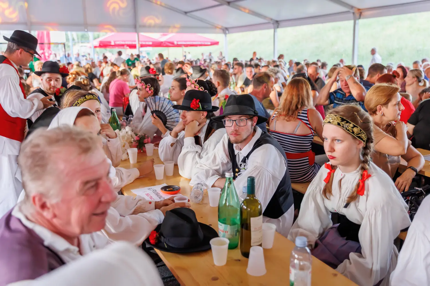 ljeto u svetom martinu na muri,ljeto,sveti martin na muri,tzo (13) ljeto u svetom martinu na muri,ljeto,sveti martin na muri,tzo (13)