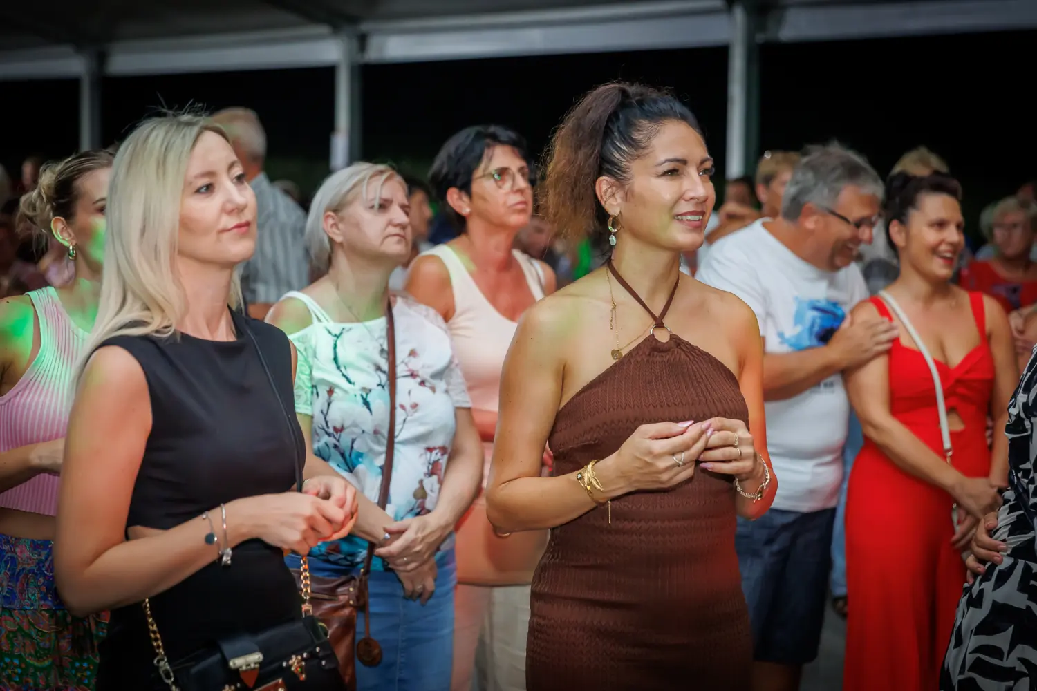 ljeto u svetom martinu na muri,ljeto,sveti martin na muri,tzo (54) ljeto u svetom martinu na muri,ljeto,sveti martin na muri,tzo (54)