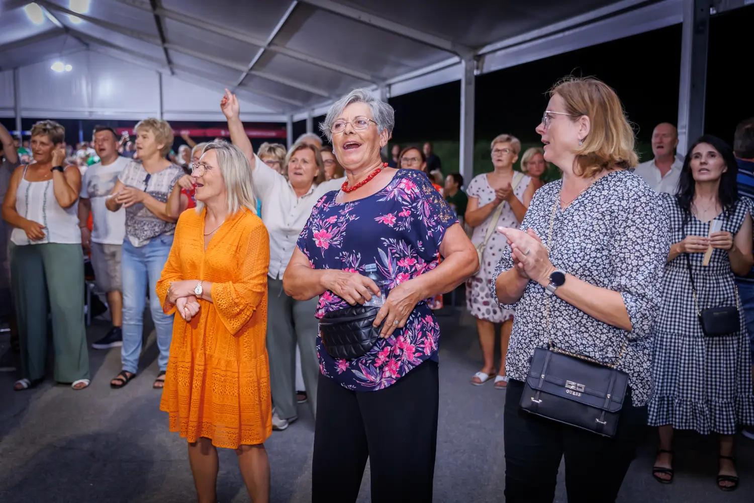 ljeto u svetom martinu na muri,ljeto,sveti martin na muri,tzo (59) ljeto u svetom martinu na muri,ljeto,sveti martin na muri,tzo (59)