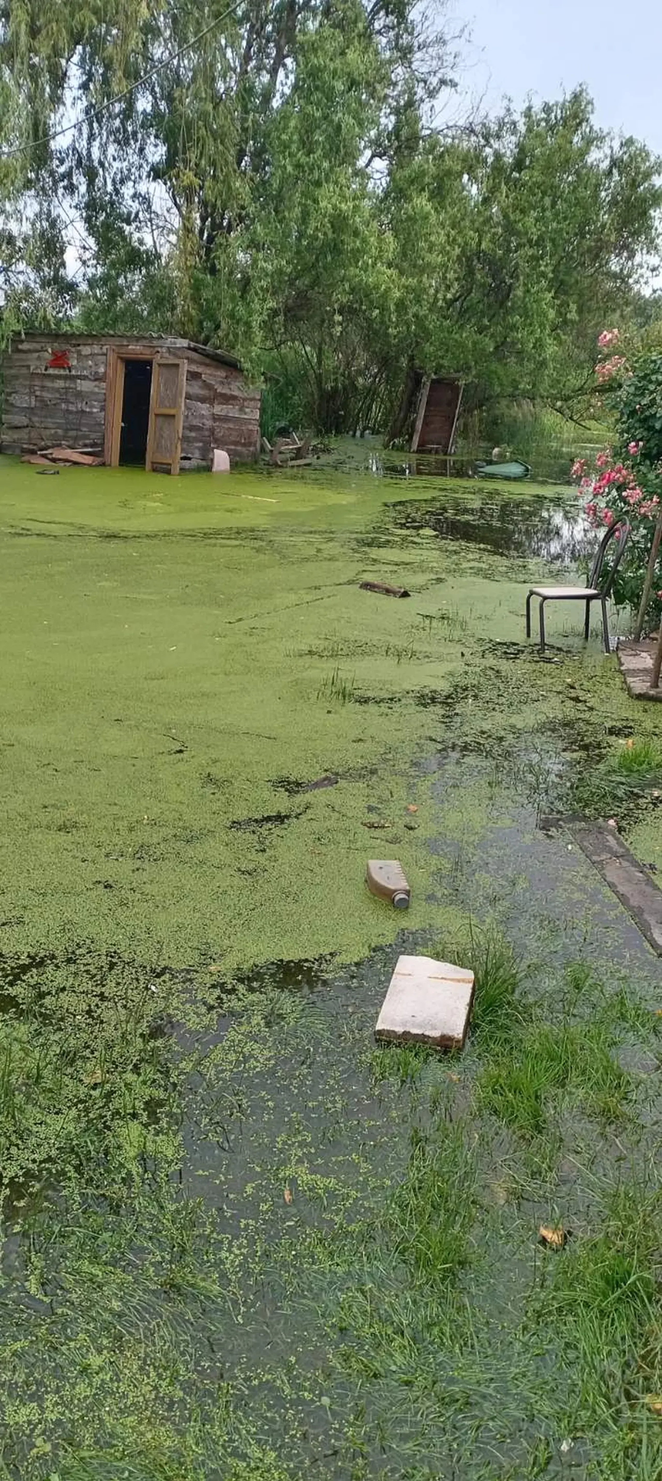 lončarevo (3) poplava lončarevo (3) poplava