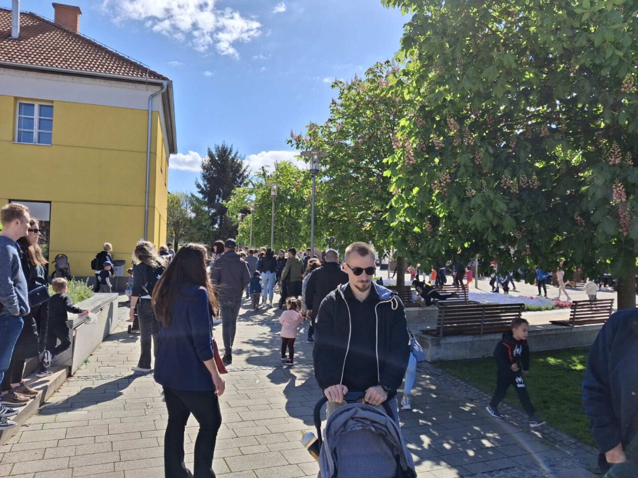 lov na pisanice prelog 2025 (14)