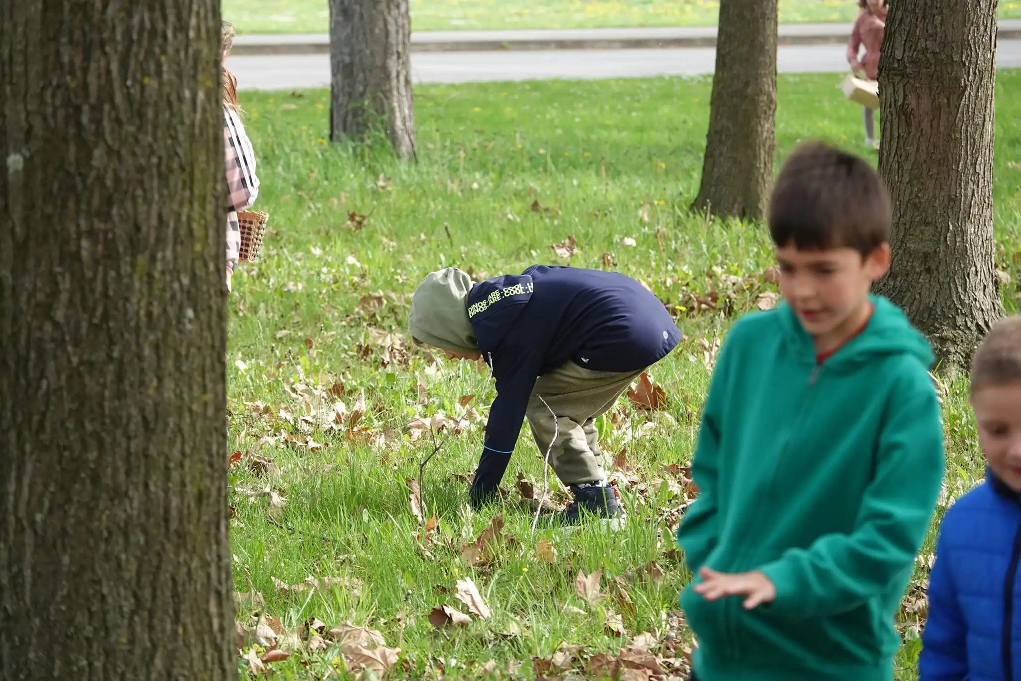 lov na pisanice,kotoriba,jaja,zeko (10) lov na pisanice,kotoriba,jaja,zeko (10)