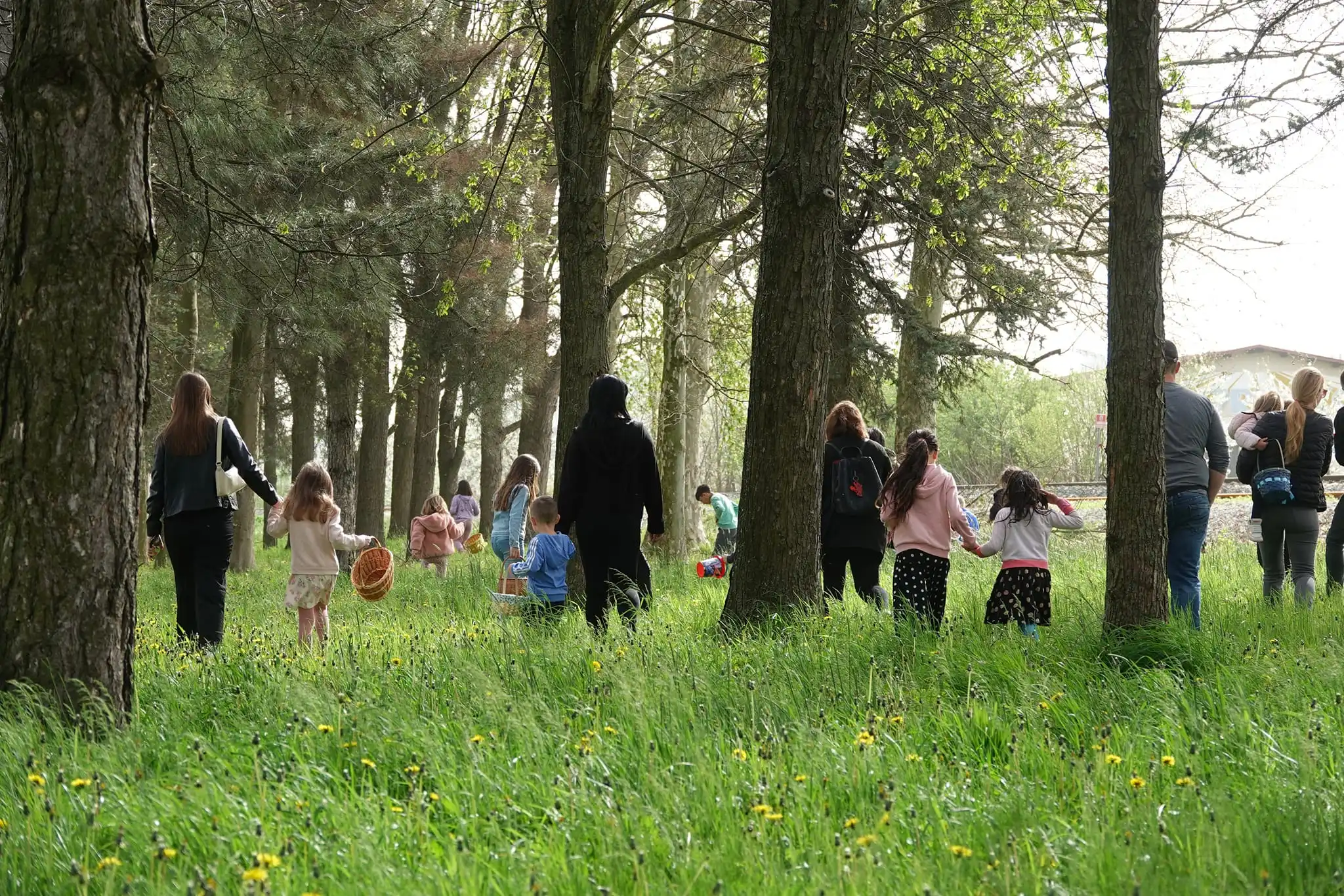 lov na pisanice,kotoriba,jaja,zeko (14) lov na pisanice,kotoriba,jaja,zeko (14)