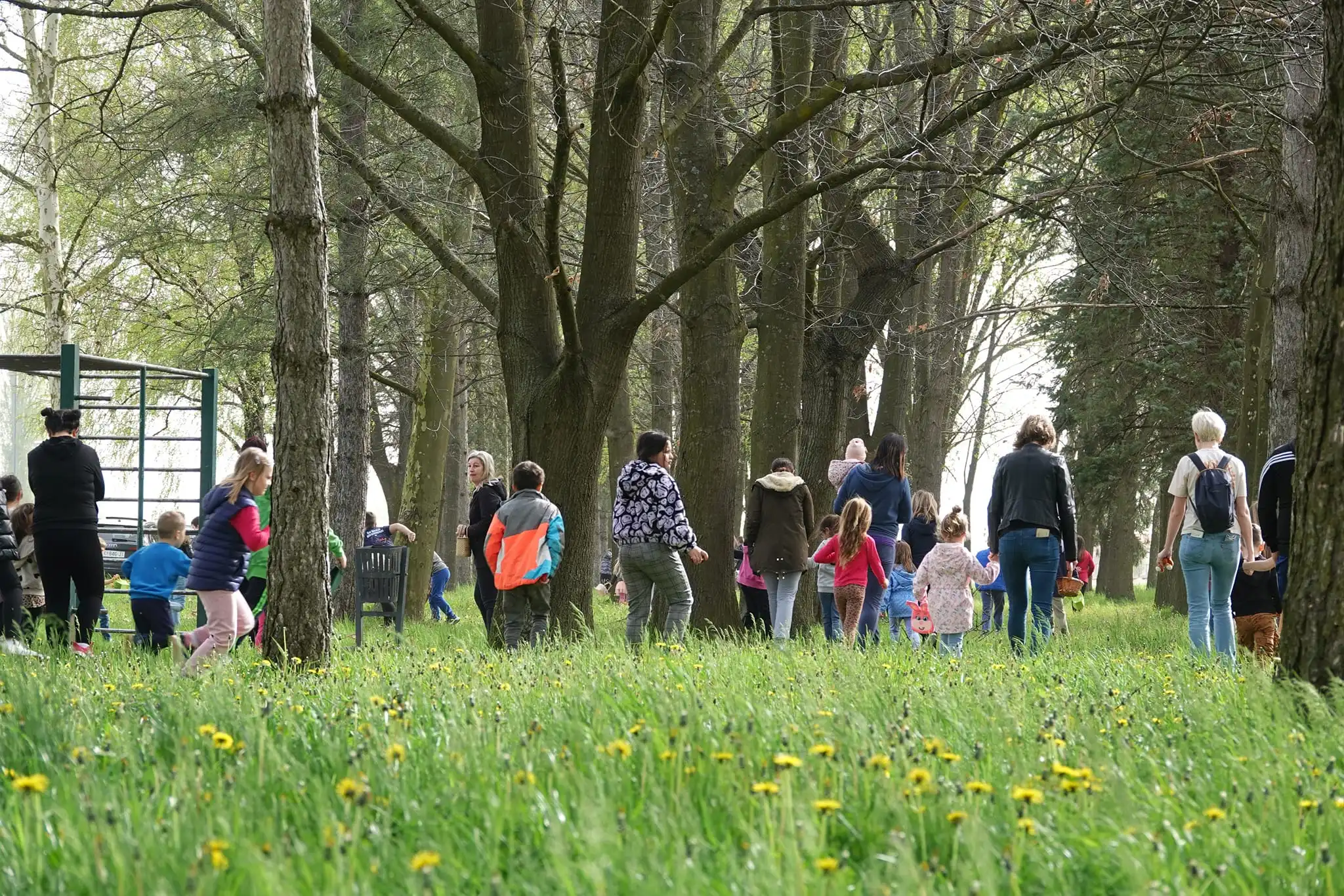 lov na pisanice,kotoriba,jaja,zeko (19) lov na pisanice,kotoriba,jaja,zeko (19)