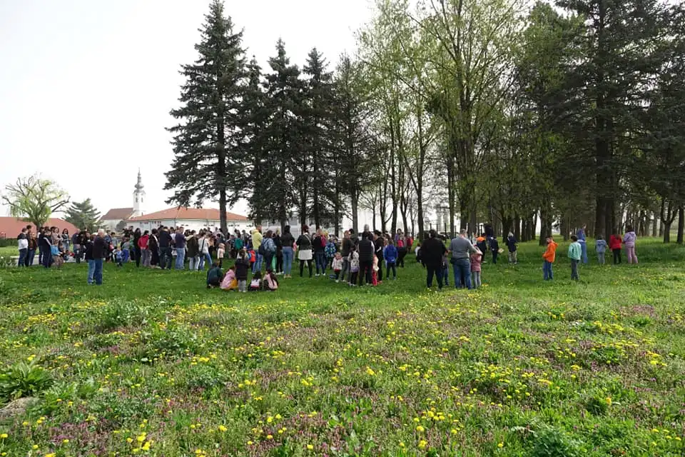 lov na pisanice,kotoriba,jaja,zeko (3) lov na pisanice,kotoriba,jaja,zeko (3)