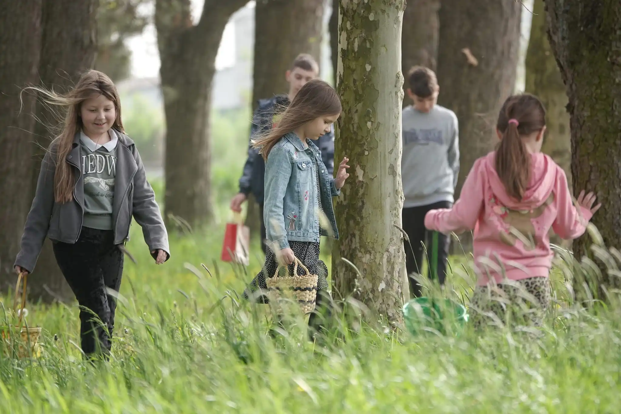 lov na pisanice,kotoriba,jaja,zeko (8) lov na pisanice,kotoriba,jaja,zeko (8)