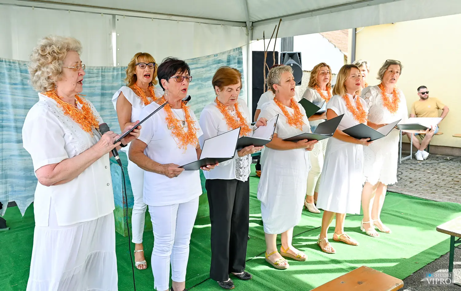 mala gospa hemuševec (24)