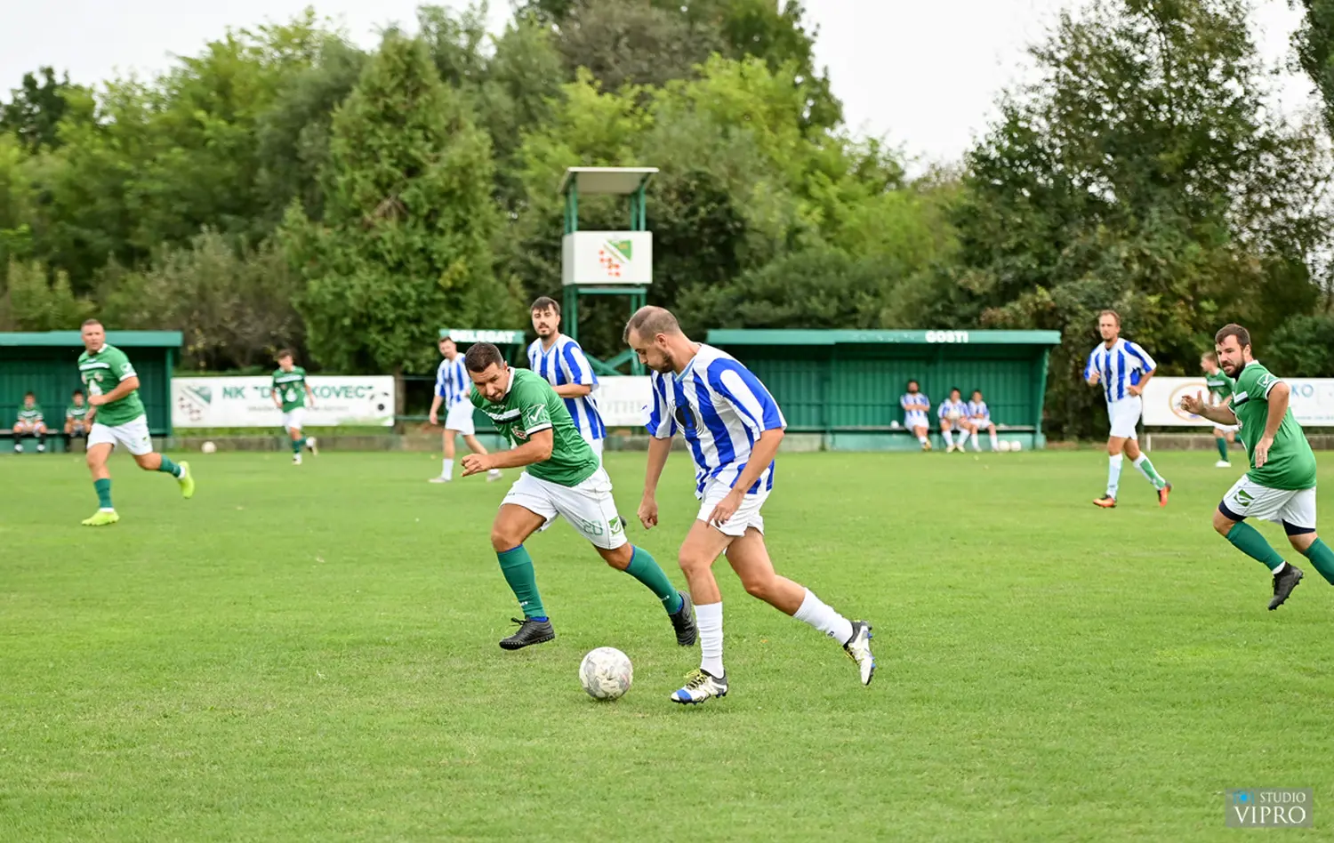 mala gospa hemuševec (3)