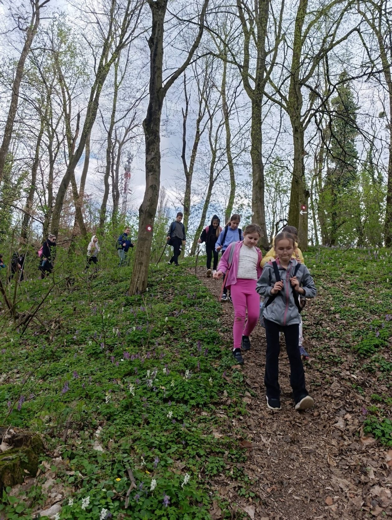 mali planinari PŠ Peklenica (7) mali planinari PŠ Peklenica (7)