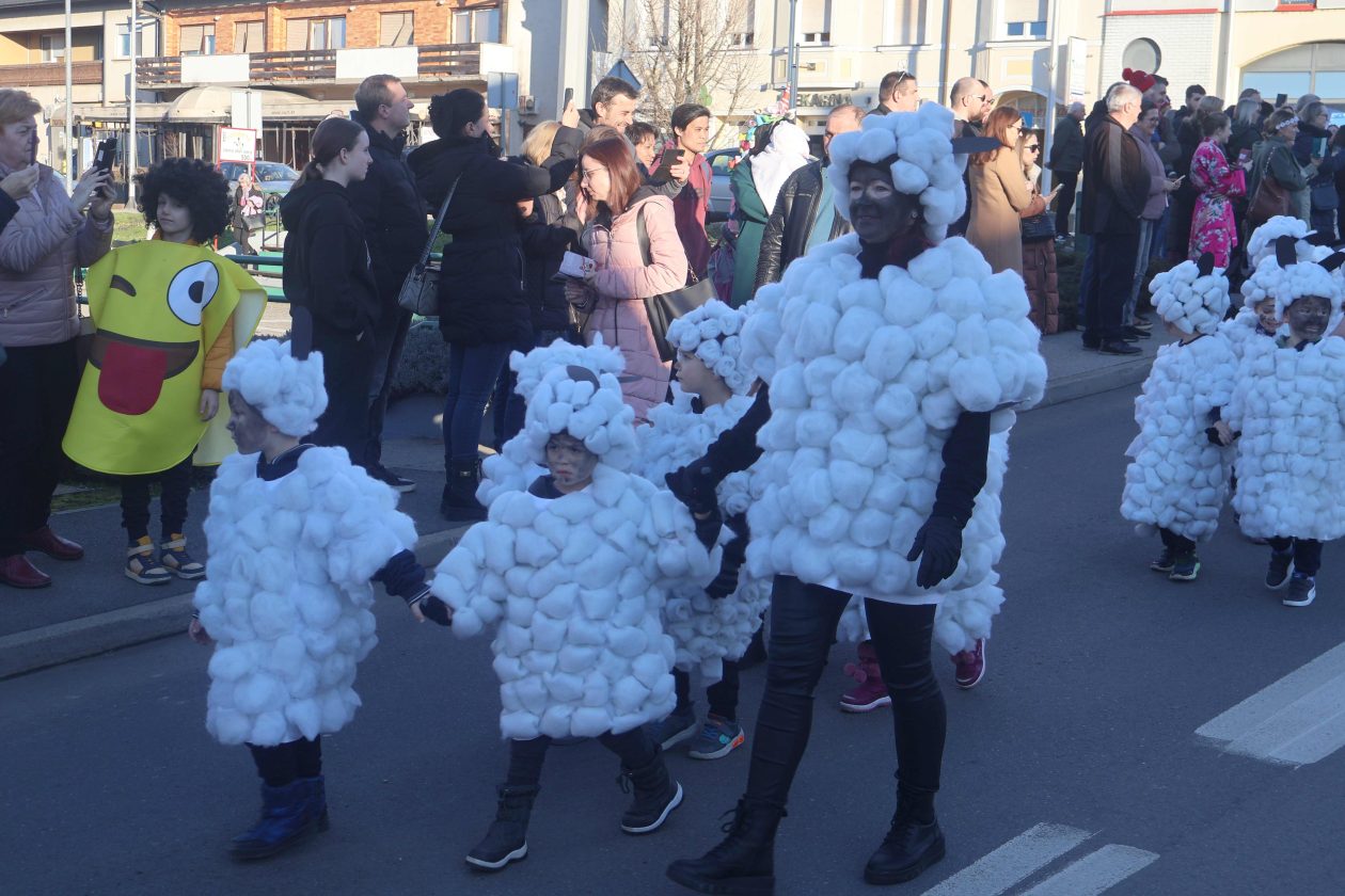 mali serjojnski fašnik (10) mali serjojnski fašnik (10)