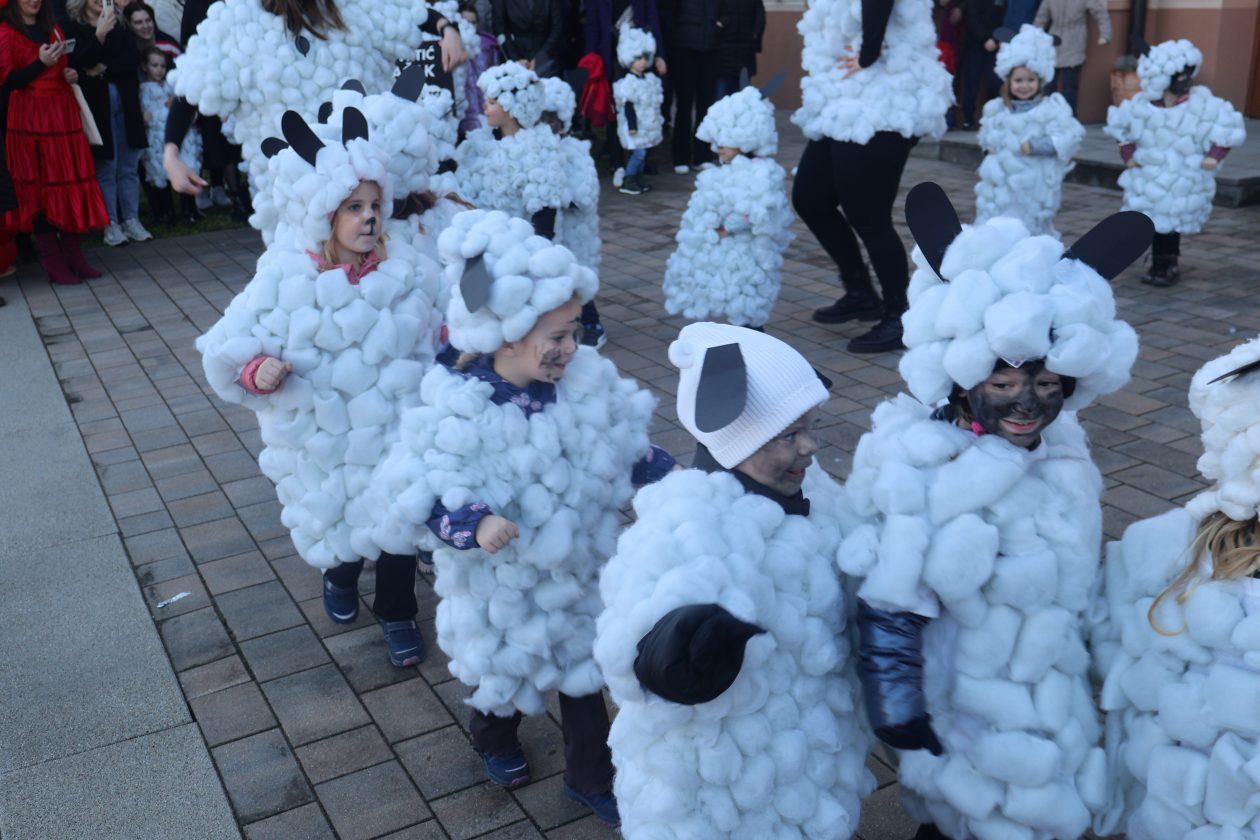 mali serjojnski fašnik (100) mali serjojnski fašnik (100)
