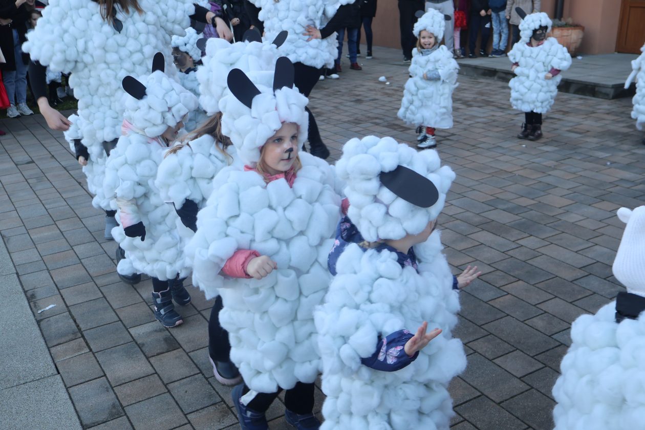 mali serjojnski fašnik (101) mali serjojnski fašnik (101)