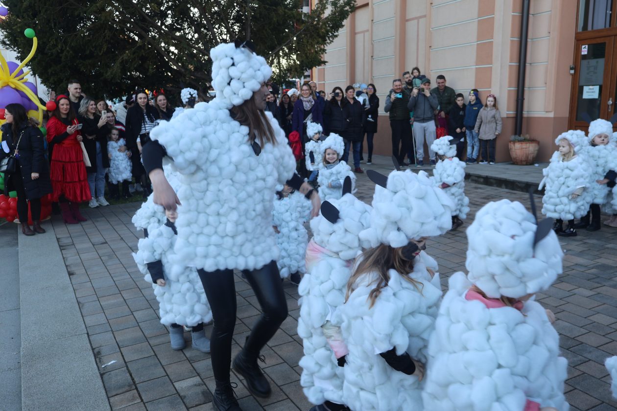 mali serjojnski fašnik (102) mali serjojnski fašnik (102)