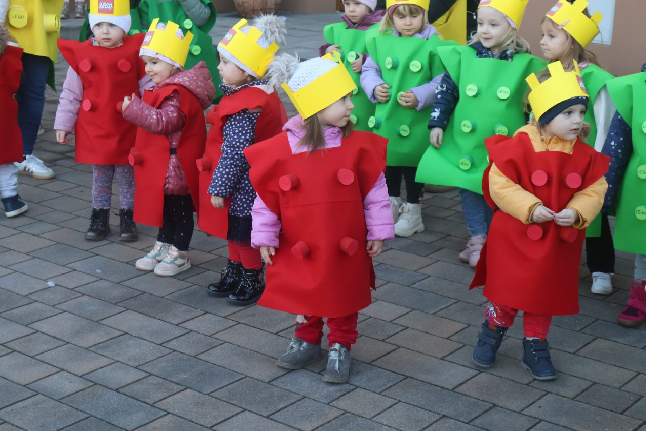 mali serjojnski fašnik (107) mali serjojnski fašnik (107)