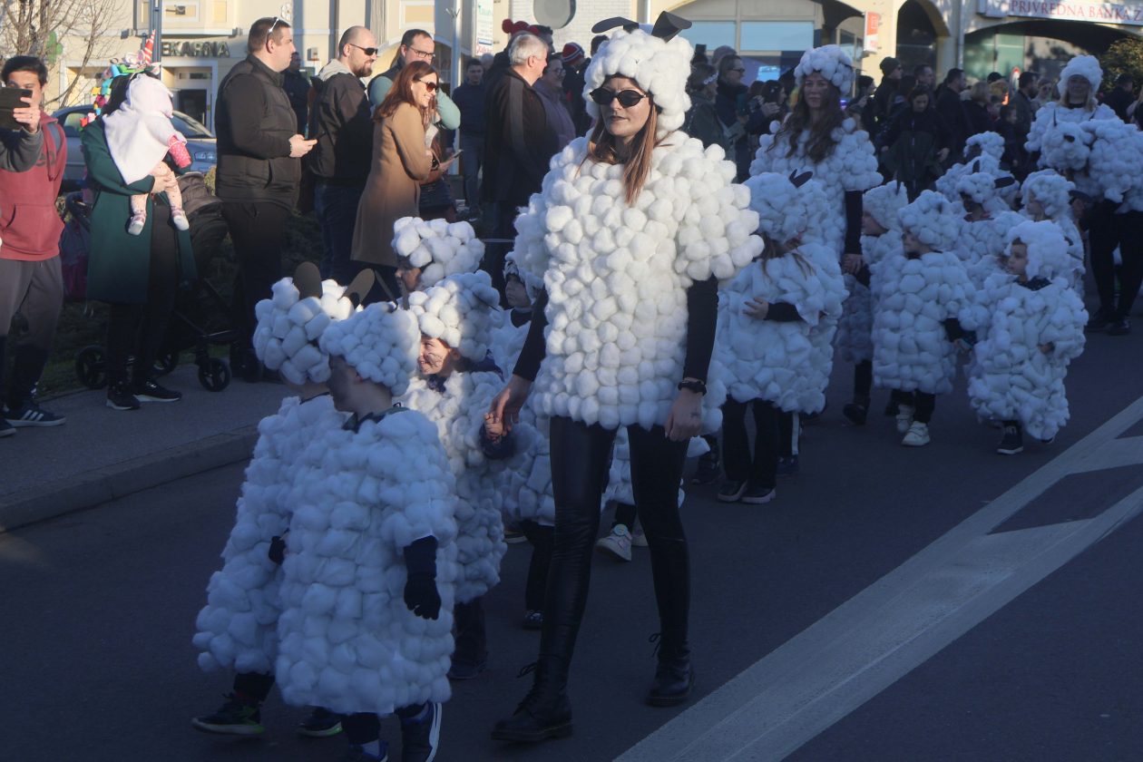 mali serjojnski fašnik (11) mali serjojnski fašnik (11)