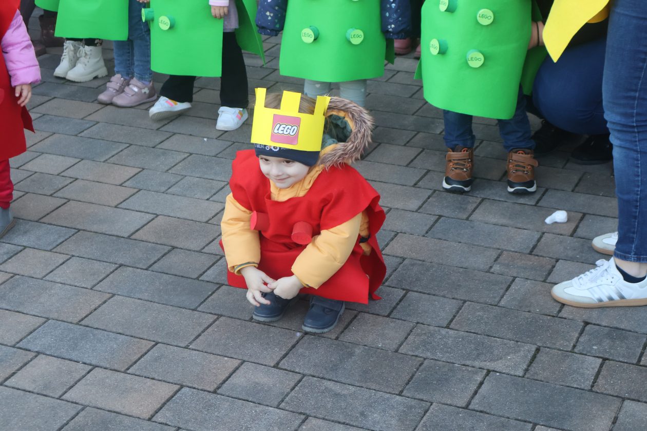 mali serjojnski fašnik (110) mali serjojnski fašnik (110)