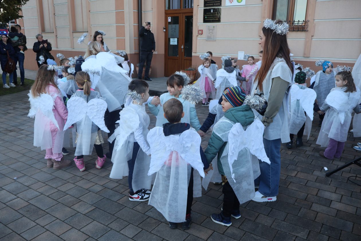 mali serjojnski fašnik (117) mali serjojnski fašnik (117)
