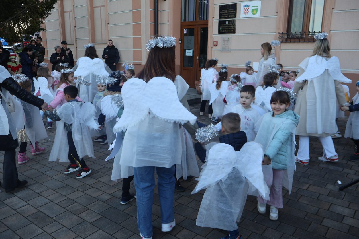mali serjojnski fašnik (118) mali serjojnski fašnik (118)