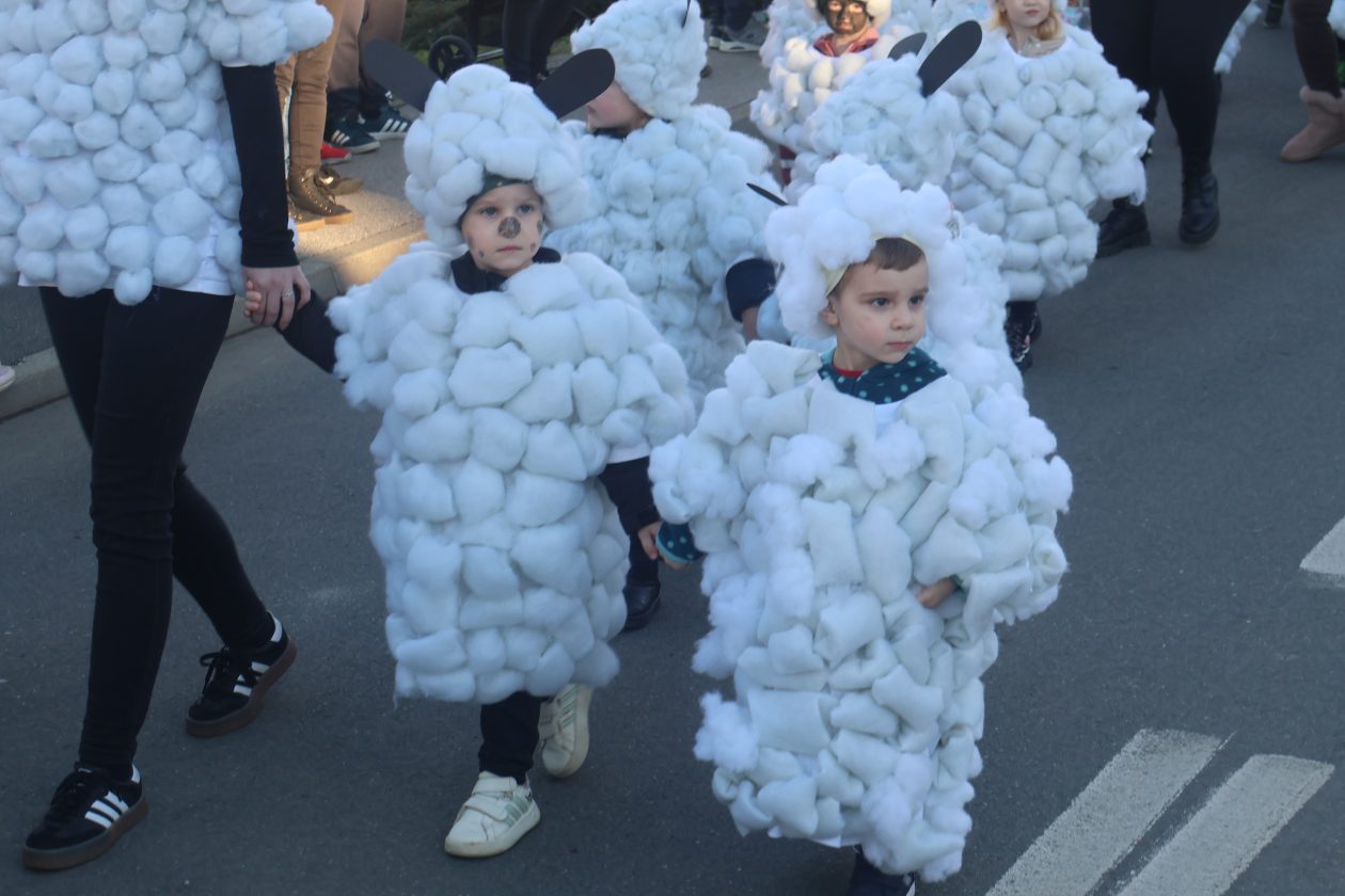 mali serjojnski fašnik (12) mali serjojnski fašnik (12)