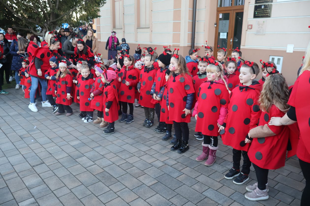 mali serjojnski fašnik (124) mali serjojnski fašnik (124)