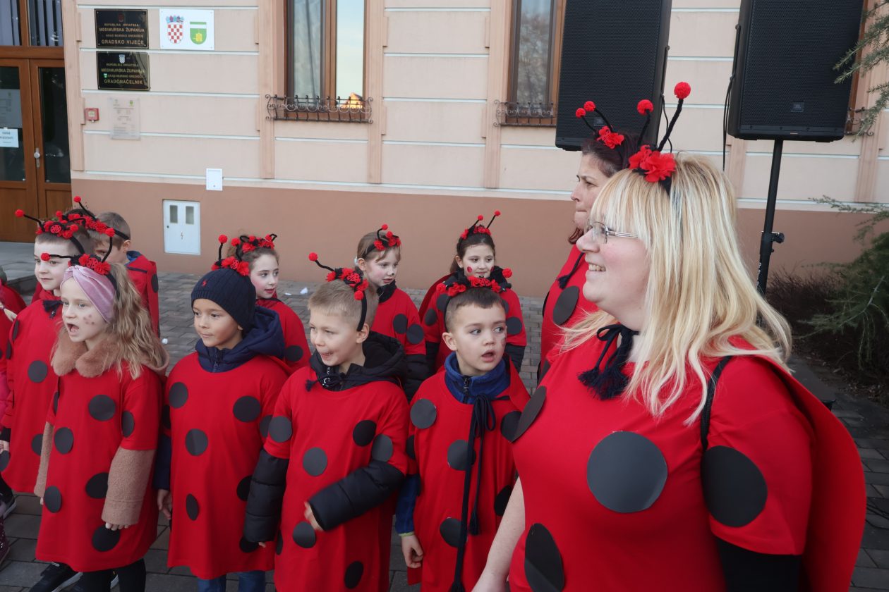 mali serjojnski fašnik (126) mali serjojnski fašnik (126)