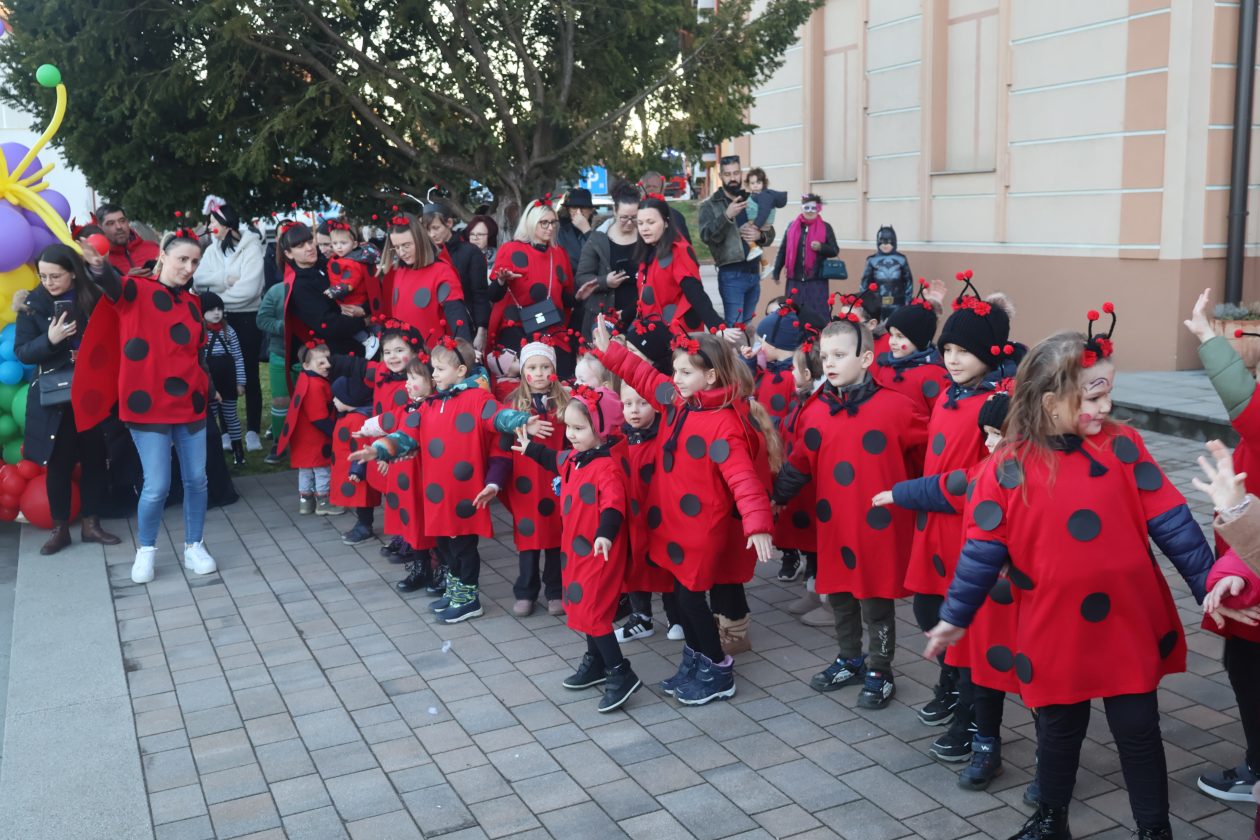 mali serjojnski fašnik (127) mali serjojnski fašnik (127)