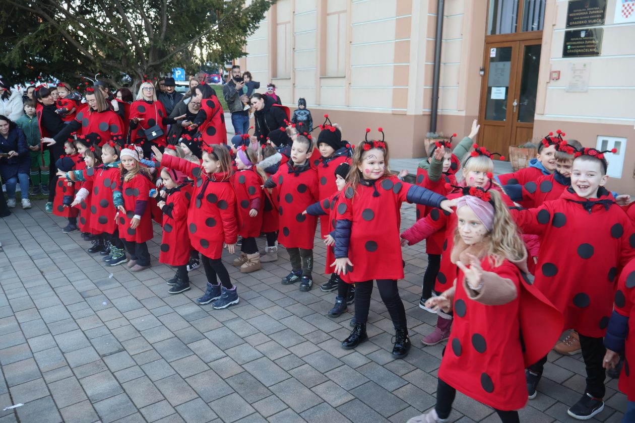 mali serjojnski fašnik (128) mali serjojnski fašnik (128)