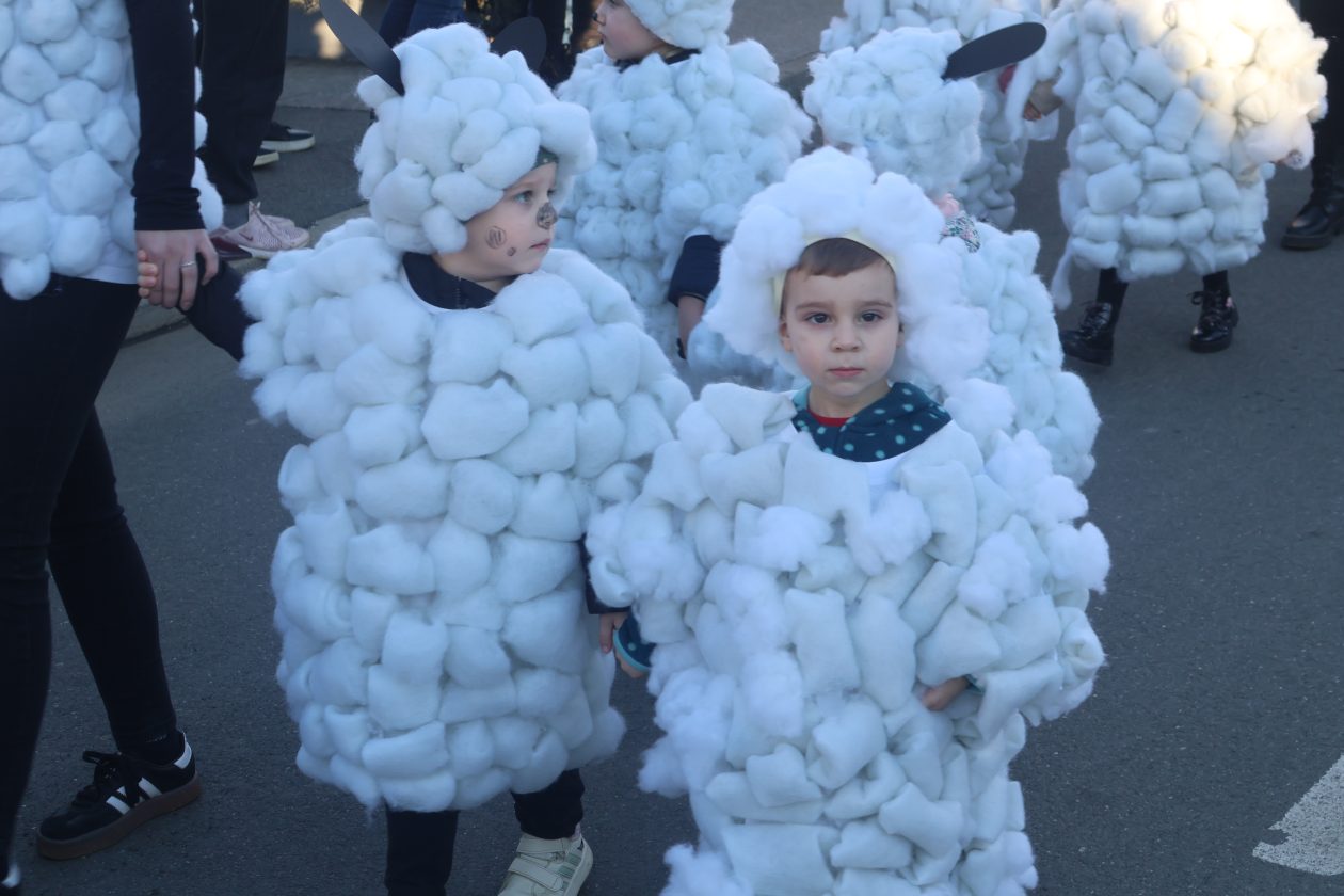 mali serjojnski fašnik (13) mali serjojnski fašnik (13)