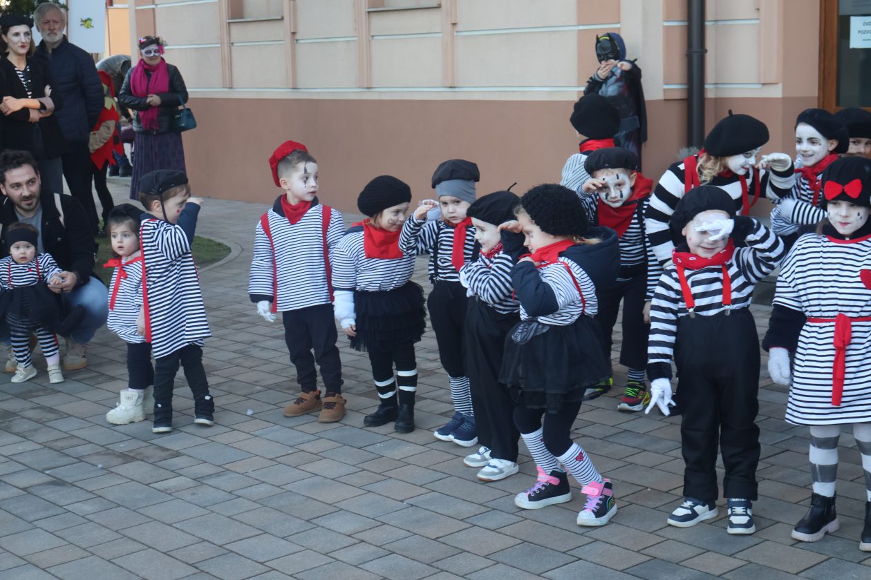 mali serjojnski fašnik (132) mali serjojnski fašnik (132)