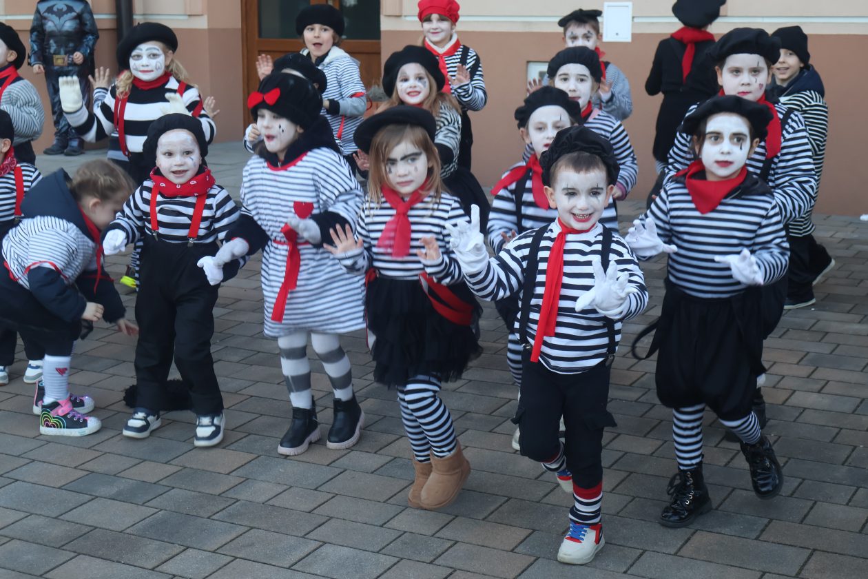 mali serjojnski fašnik (139) mali serjojnski fašnik (139)